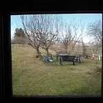 La Luna E I Falo * Canelli