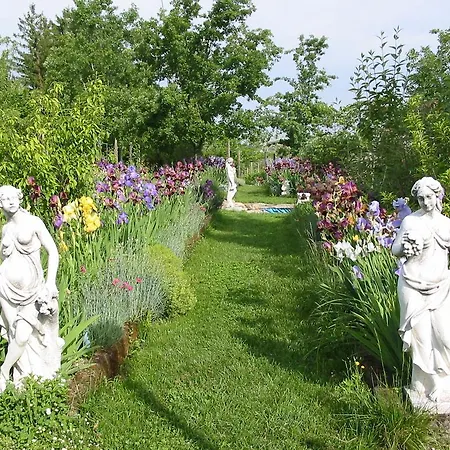 Bed & Breakfast La Luna E I Falo Canelli