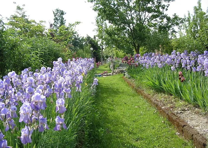 Couette-café La Luna E I Falo *