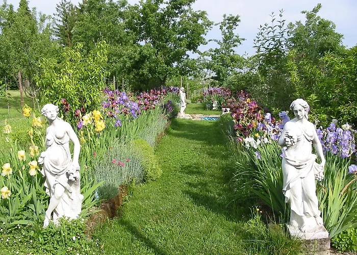 Couette-café La Luna E I Falo Canelli